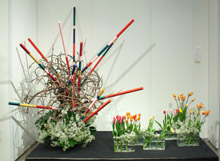 01 - Mieko Watanabe -- Embassy of Japan.jpg 7.3K